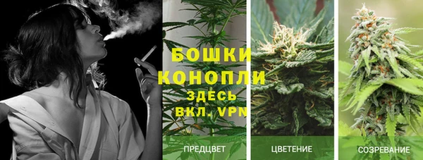 2c-b Балабаново